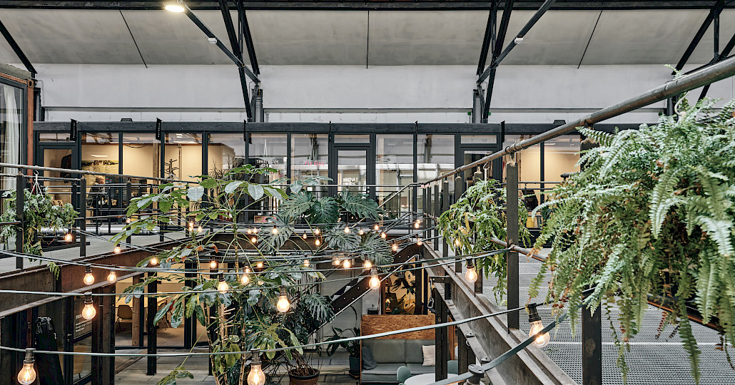 Veranstaltungsraum Freiburg: Grünpflanzen-Dschungel und Lichterketten an der Coworking-Location Kreativpark Lokhalle